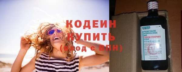 прущие грибы Балабаново