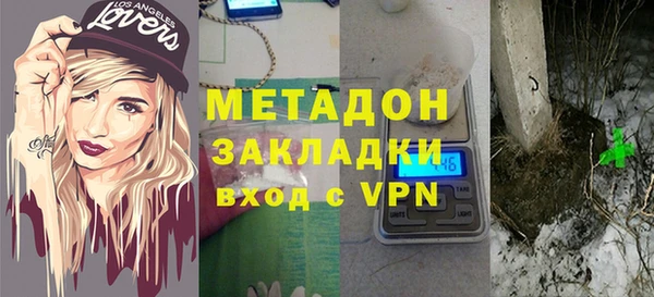 прущие грибы Балабаново