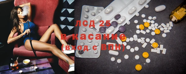 прущие грибы Балабаново
