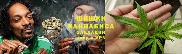 прущие грибы Балабаново