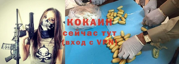 прущие грибы Балабаново