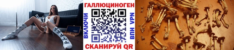 цена наркотик  Удачный  Галлюциногенные грибы прущие грибы 